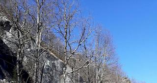 Im Val Vigezzo kam es Sonntag zu einem Bergsturz. Die Ger&ouml;llmassen begruben ein Auto unter sich. 