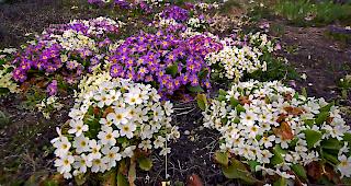 Stabiles Fr&uuml;hlingswetter l&auml;sst noch ein wenig auf sich warten.