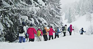 Strenger. Der Bund will f&uuml;r Schneeschuhtouren die Anforderungen an professionelle Anbieter erh&ouml;hen.  