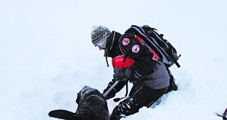 Erste Suche erfolglos. Auch die beste Sp&uuml;rnase konnte das Lawinenopfer am Tag des Ungl&uuml;cks nicht lokalisieren. 