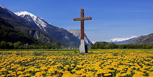 Über Pfingsten sind einige sonnige Stunden zu erwarten.