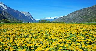 Der Sommer gibt am Wochenende ein kurzes Comeback.