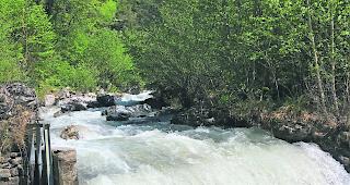 Rauschende B&auml;che. B&auml;che wie die Raspille f&uuml;hren derzeit enorm viel Schmelzwasser mit sich. 