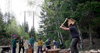 Beim Freiwilligentag im Erner Zauberwald packten grosse und kleine H&auml;nde mit an.