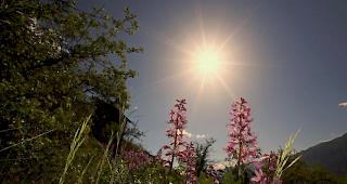 Doch noch Sonnenschein am Muttertag?