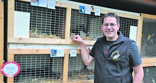 Viel Nachwuchs. Der H&uuml;ttenwart des Kaninchenzuchtvereins, Daniel Jossen, zeigt die Kaninchenst&auml;lle.  