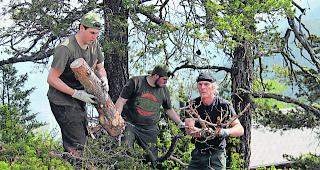 Schweisstreibend. Mehr als ein Dutzend Weidm&auml;nner des Jagdvereins Visp  &ndash;  darunter auch Pr&auml;sident Anton Schreiner  &ndash;  setzten sich anl&auml;sslich eines Hegetags f&uuml;r die Pflege des unersetzlichen Kleinods bei Zeneggen ein.  