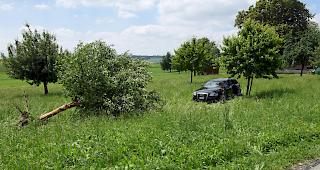 Keine Verletzten, aber ein gef&auml;llter Apfelbaum...