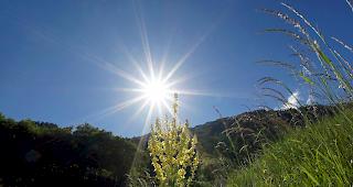 Am heutigen Dienstag bl&uuml;hen uns sieben bis zehn Sonnenstunden.