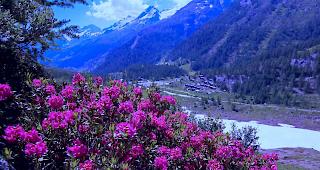 Der Himmel bleibt am Samstag &uuml;berwiegend wolkenlos.