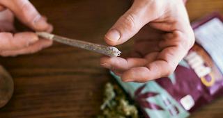 Der Bundesrat will einen Artikel f&uuml;r Cannabis-Pilotversuche in das Bet&auml;ubungsmittelgesetz aufnehmen. Ausserdem soll das Verkaufsverbot f&uuml;r Medizinalcannabis aufgehoben werden.