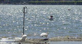 Am Sonntagabend ereignete sich&nbsp;in einem See im Burgund ein tragischer Badeunfall.&nbsp;