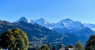 Im Eigergebiet bei Grindelwald BE ist ein Bergsteiger t&ouml;dlich verungl&uuml;ckt. Er konnte nach einem Absturz am fr&uuml;hen Samstagmorgen nur noch tot geborgen werden.