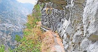 Verdorrt. Entlang des wasserlosen &laquo;Niw&auml;rchs&raquo; leidet die &shy;Vegetation samt Erlen und Birken.Fotos zvg