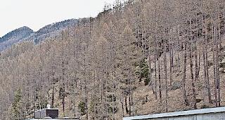 Das Zermatter Quartier &laquo;Spiss&raquo; soll neu gestaltet werden. Foto RZ-Archiv