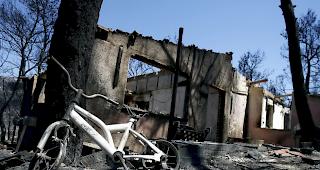 Bei den verheerenden Waldbr&auml;nden in Griechenland sind am Montag nach Feuerwehrangaben 49 Menschen ums Leben gekommen. (Archiv)