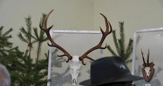 Online. Neu l&auml;sst sich das Jagdpatent auch &uuml;ber die Internetseite der Dienststelle f&uuml;r Jagd, Fischerei und Wildtiere bestellen.