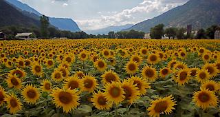 Am Freitag stieg das Quecksilber im Wallis auf 35 Grad.