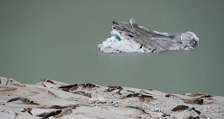 Das Schmelzwasser des Favergessee l&auml;uft jeweils anfangs August aus. (Symbolbild)