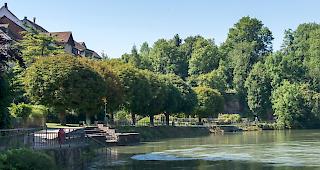 Gegen&uuml;ber von Lauenburg verliess ihn wohl die Kraft.