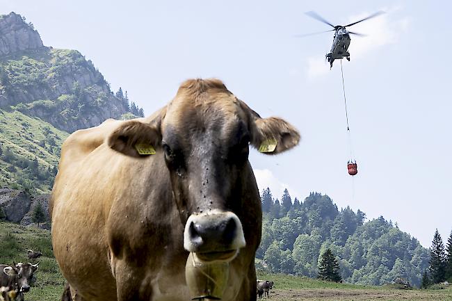 Spezielle Massnahmen. Die Schweizer Armee hat diesen Sommer bereits mehrmals Alpwirtschaften mit Wasser versorgt.