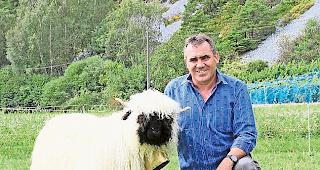 Daniel Steiner ist SN-Pr&auml;sident. 