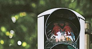 Gr&uuml;nes Licht. Schweizweit wurden bereits rund 100 Gesuche von gleichgeschlechtlichen Paaren eingereicht. Foto zvg