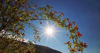 Heute d&uuml;rfte es noch ein wenig w&auml;rmer werden als am Freitag.