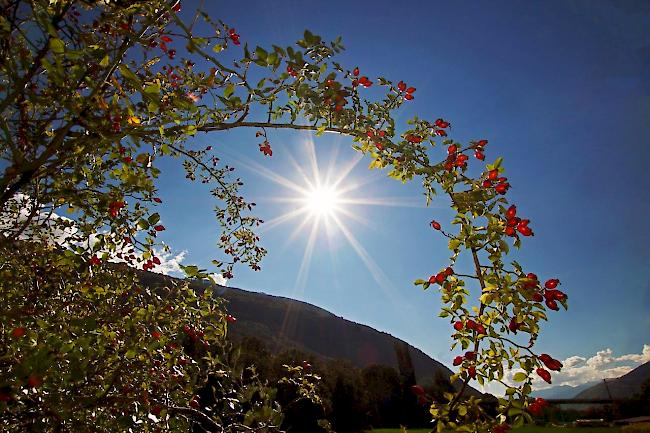 Wie bereits am Montag und am Dienstag konnte am Mittwoch in der Schweiz ein Hitzetag verzeichnet werden. In Sitten kletterte das Thermometer auf 30,8 Grad. Am heissesten war es in Genf mit 31,4 Grad.