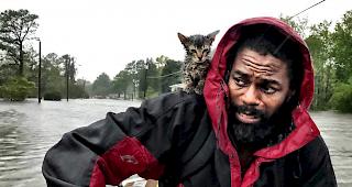 Es regnet wie aus Eimern, der Sturm peitscht das Wasser durch die Strassen: Wirbelsturm Florence hat Teile der Atlantikk&uuml;ste in North und South Carolina in eine Wasserlandschaft verwandelt. 