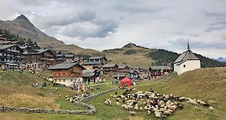 Vom Sommerdomizil zur&uuml;ckgekehrt, endet der Alpabzug auf der Bettmeralp mit der Schafscheid.  