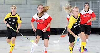 Erfolgreich. Die 1.-Liga-Damenmannschaft der UHC Visper Lions siegten zum Saisonauftakt gegen Skorpion Emmental Zollbr&uuml;ck II mit 3:2.