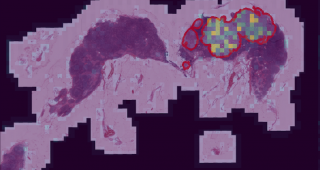 Erstklassige IT-Kompetenzen im Wallis: Die Teams um Dr. Manfredo Atzori und Dr. Henning M&uuml;ller arbeiten seit mehreren Jahren auf dem Gebiet der Big-Data-Verarbeitung, insbesondere im Gesundheitssektor.