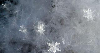 Die Schneefallgrenze sank bis auf 1200 Meter.