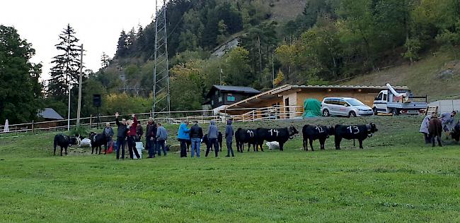 Bei angenehmem Herbstwetter wurde am Sonntagmorgen das diesjährige «Rinderlistächfäscht» lanciert.