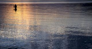 Mit &uuml;ber 847 Tonnen gefangenem Fisch ging der Fischertrag im Genfersee 2017 verglichen mit dem Vorjahr generell zur&uuml;ck (-19,1%). 