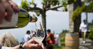 Der weltweite Weinkonsum ist im vergangenen Jahr leicht gestiegen.