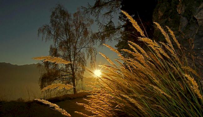 Ab Samstag gehört der goldene Herbst der Vergangenheit an. In den kommenden Tagen herrscht ausgesprochen trübes, sehr nasses und deutlich kälteres Wetter vor (Archivbild).