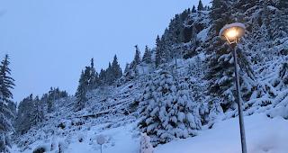 Heftig. Am Montagabend begleiteten extrem starke Winde die aussergew&ouml;hnlichen Niederschl&auml;ge und sorgten lokal wie hier auf der Riederalp f&uuml;r Waldsch&auml;den.