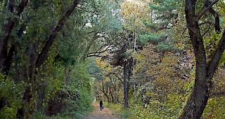 Der F&ouml;hn trieb die Temperaturen deutlich in die H&ouml;he.