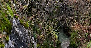 Ein seit dem 28. Oktober als vermisst gemeldeter Walliser ist einer Schlucht tot aufgefunden worden. (Symbolbild)