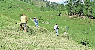 Im L&ouml;tschental sind viele Bauern mit der Zuteilung der landwirtschaftlichen Fl&auml;chen im Rahmen der &laquo;Bewirtschaftsarrondierung&raquo; unzufrieden.