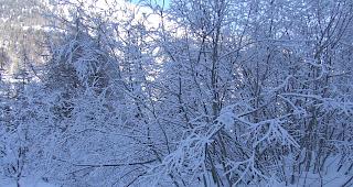 Kalt. In Ulrichen fiel das Thermometer in der Nacht auf Mittwoch auf unter minus 20 Grad.