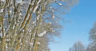 Schwerer Stand. Obergommer G&auml;stekarte bringt kaum Mehrwert.Foto wb