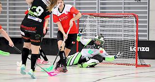 Die Damen des UHC Visper Lions blicken auf eine erfolgreiche erste Saisonh&auml;lfte zur&uuml;ck.