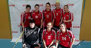 UHC Sierre-Challenge. Der Neuling aus Siders musste sich gegen die Fletschi Cracks mit 4 zu 11 geschlagen geben.