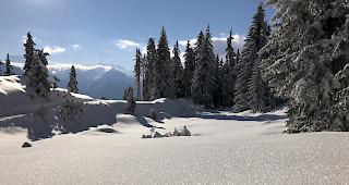 Am Neujahrstag sollen in den Bergen perfekte Wintersportbedingungen herrschen.