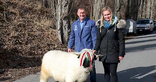 &laquo;Miss Visp&raquo; kommt aus dem Stall der Gebr&uuml;der Eyer aus Ried-Brig. Bei Vater Josef und Tochter Nadja Eyer war die Freude &uuml;ber den Titel riesig. 