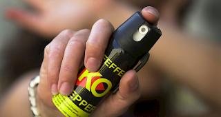 Auf einem Spaziergang hat ein Mann Pfefferspray gegen zwei herannahende Hunde eingesetzt. 