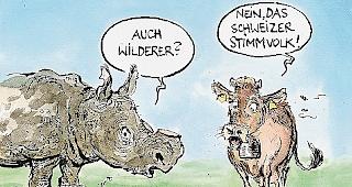 90 Prozent der Schweizer K&uuml;he  sind hornlos.